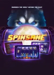 Try Spinsane Now!