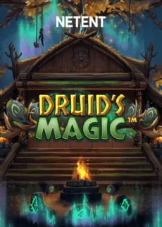 Try Druid’s Magic Now!